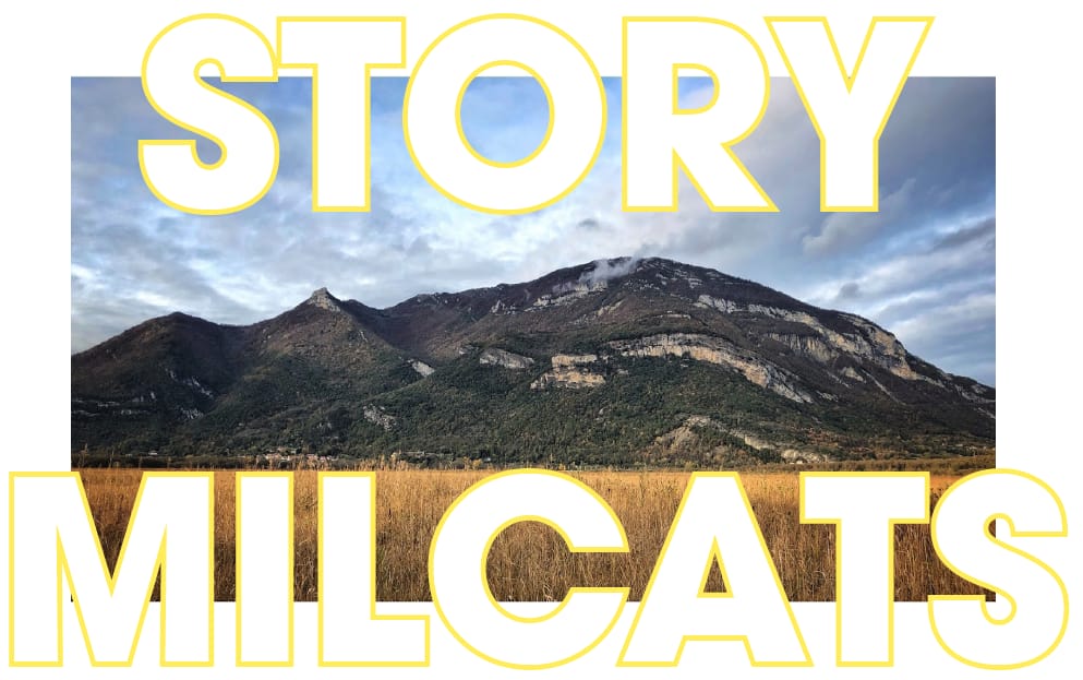 Story Milcats